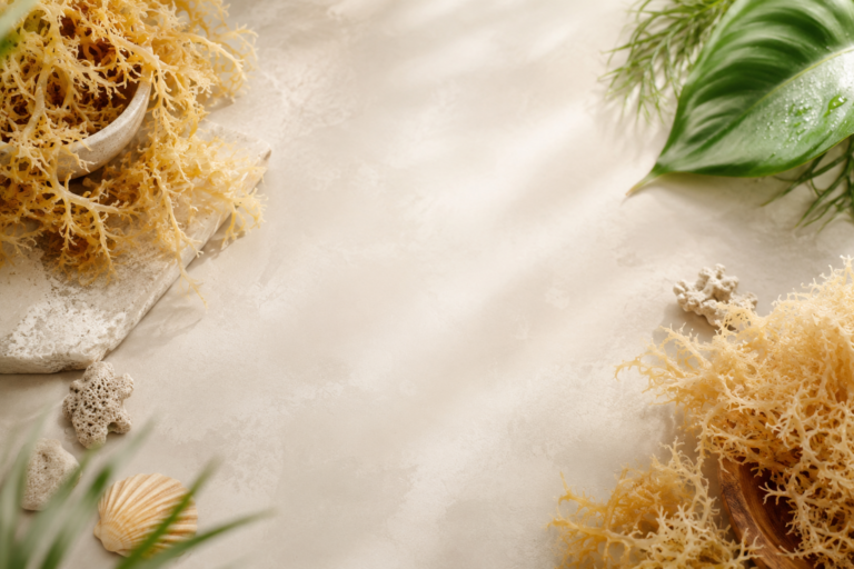 Sea moss for weightloss