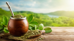 Yerba mate benefits​